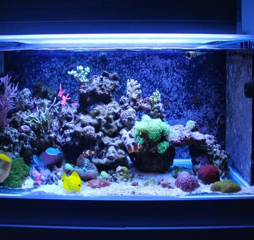 como limpar aquário com peixes