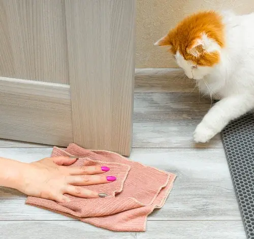 mulher tirando cheio de xixi de gato do ambiente