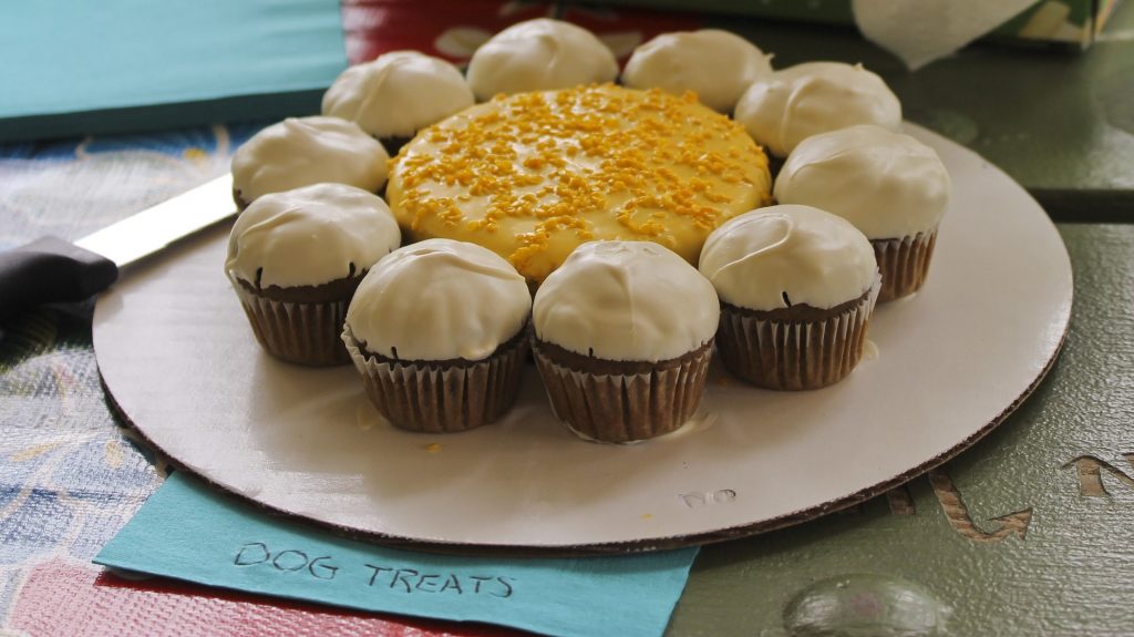 bolo de aniversário para cachorro