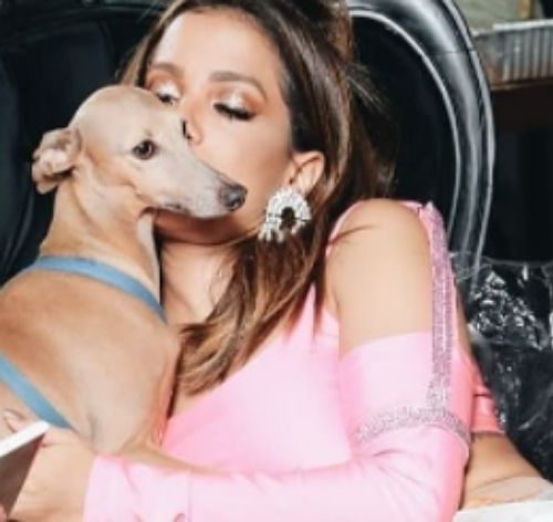 cachorro da anitta com a cantora