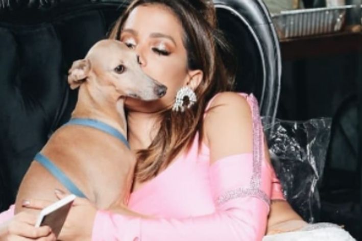 cachorro da anitta com a cantora