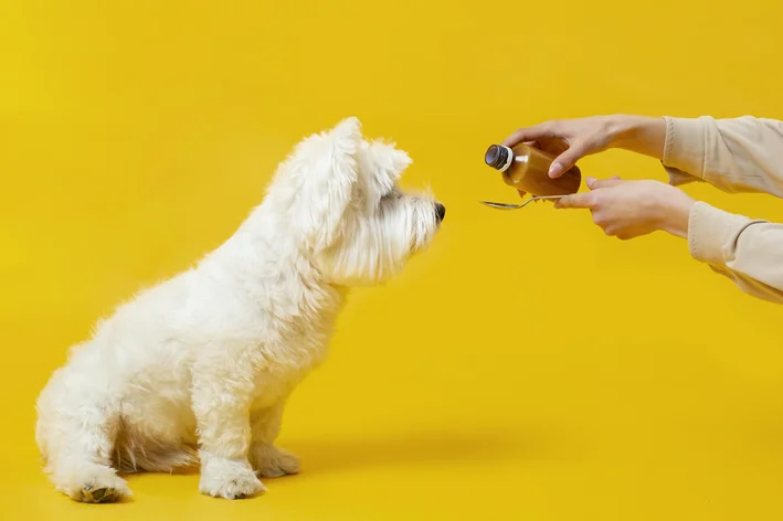 pessoa dando remédio para cachorro