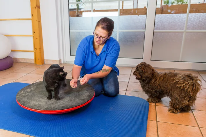 mulher aplicando fisioterapia para cachorro