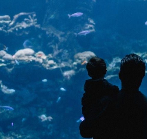 aquarioterapia para crianças