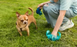 mulher pegando fezes de cachorro com sangue