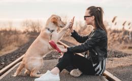 cuidador de cachorro fazendo high five com o pet