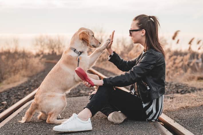 cuidador de cachorro fazendo high five com o pet