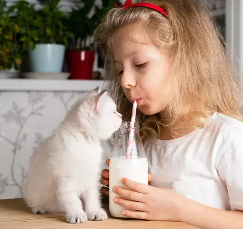 Menina com cabelo cacheado, usando tiara vermelha, tomando leite com canudo ao lado de um gato branco em uma cozinha.