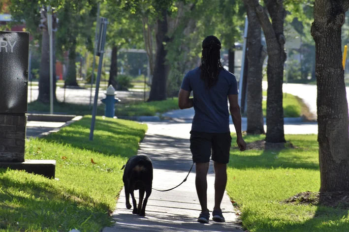 homem levando cachorro para passear