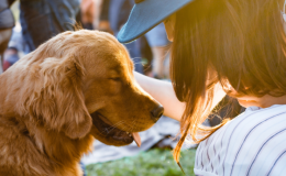 espaço pet friendly com cachorro e tutora