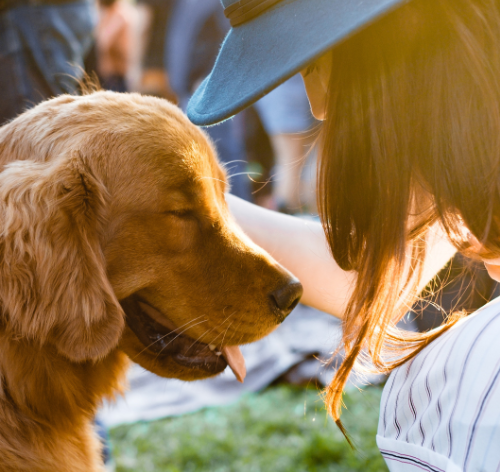 espaço pet friendly com cachorro e tutora