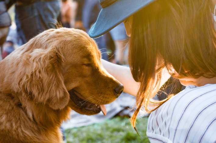 espaço pet friendly com cachorro e tutora