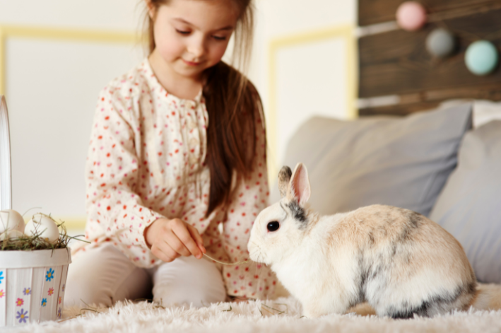 coelho pode comer coco