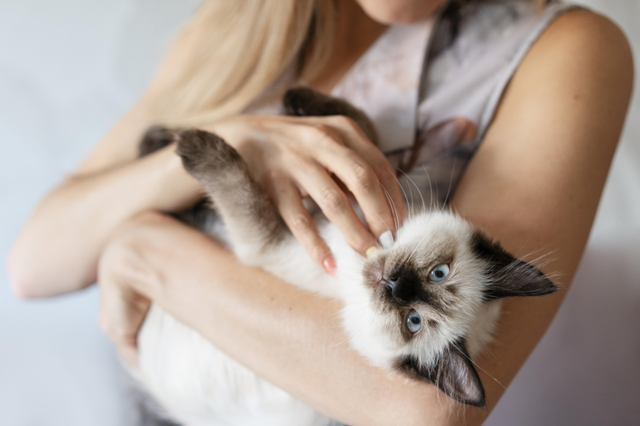 mulher segurando gato