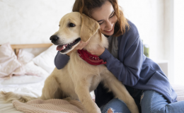 mulher fazendo cócegas no cachorro