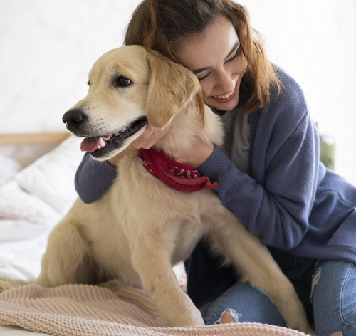 mulher fazendo cócegas no cachorro