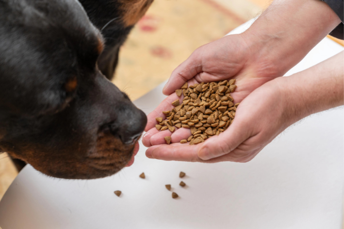 melhores rações para Rottweiler em 2023