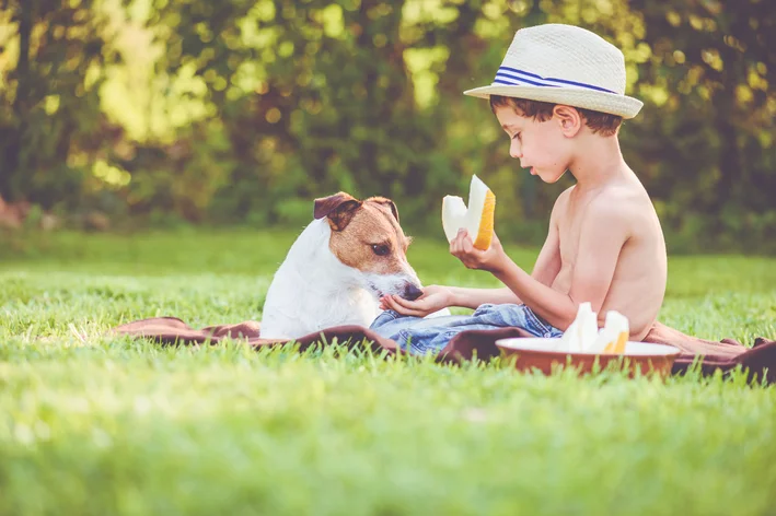 menino dando melão para cachorro comer