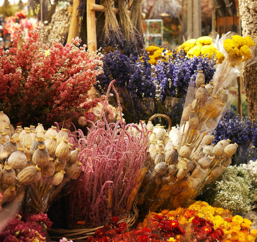 flores secas coloridas