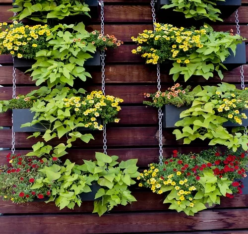 jardim vertical com vasos