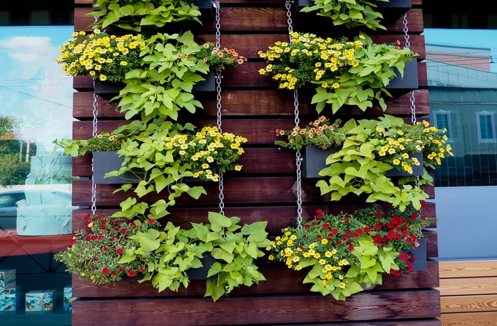 jardim vertical com vasos