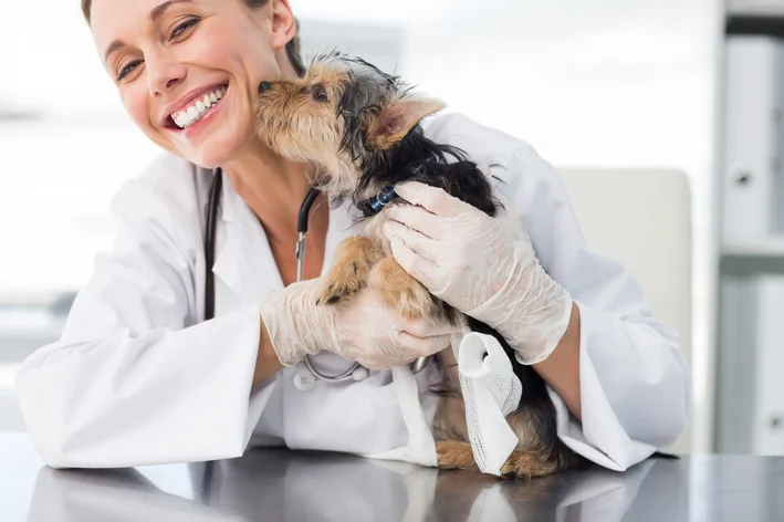 Dia do Médico-veterinário