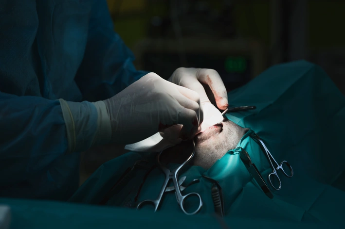 cirurgia de hernia de disco em cachorro