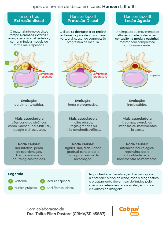 Infográfico compara os tipos Hansen I, II e III de hérnia de disco em cães, mostrando extrusão discal, protrusão discal e lesão aguda com compressão ou contusão da medula espinhal.