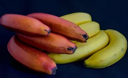 banana roxa e banana nanica