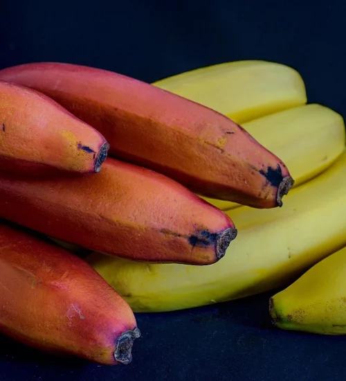banana roxa e banana nanica