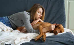 cachorro com dor de barriga ao lado da tutora