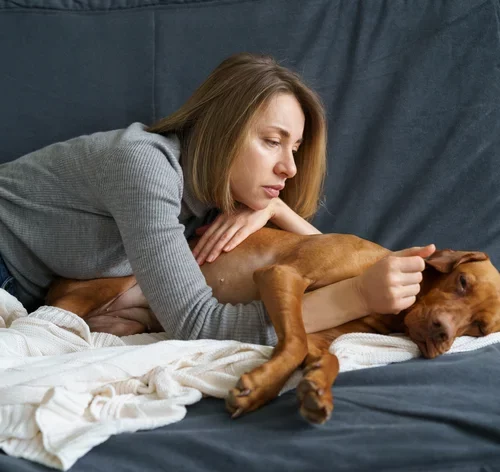 cachorro com dor de barriga ao lado da tutora
