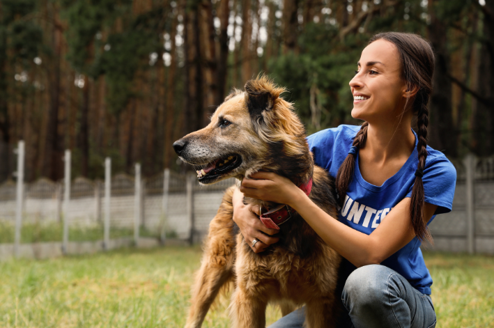 cachorro e mulher no parque 