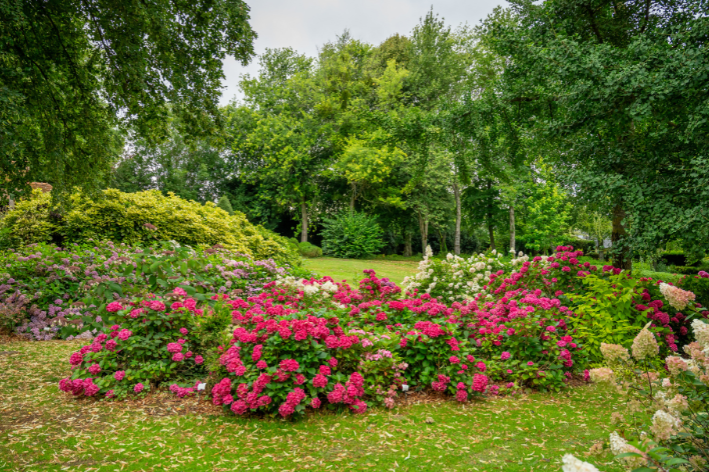 canteiros e jardins