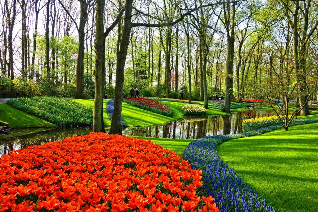 canteiro de jardim com flores vermelhas e um riacho