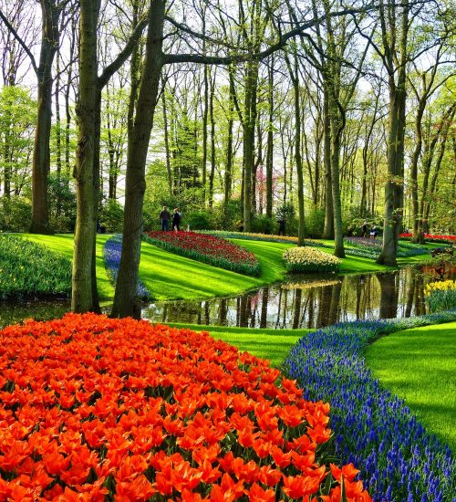 canteiro de jardim com flores vermelhas e um riacho