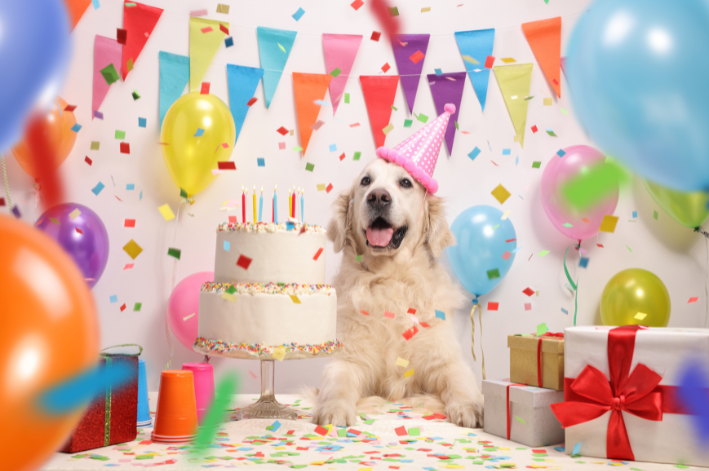 festa para cachorro: as melhores decorações