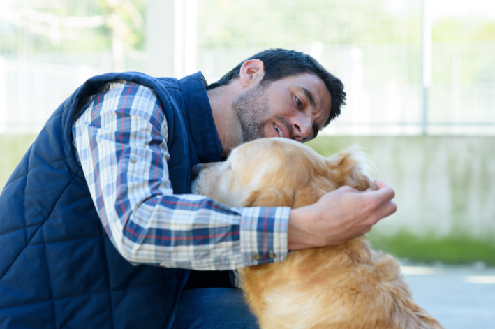 Quanto tempo demora para cicatrizar pontos em cachorro? Descubra