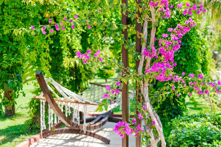 jardim com flores e jardins