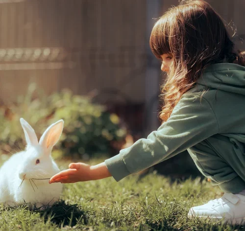 como escolher nomes para coelhos