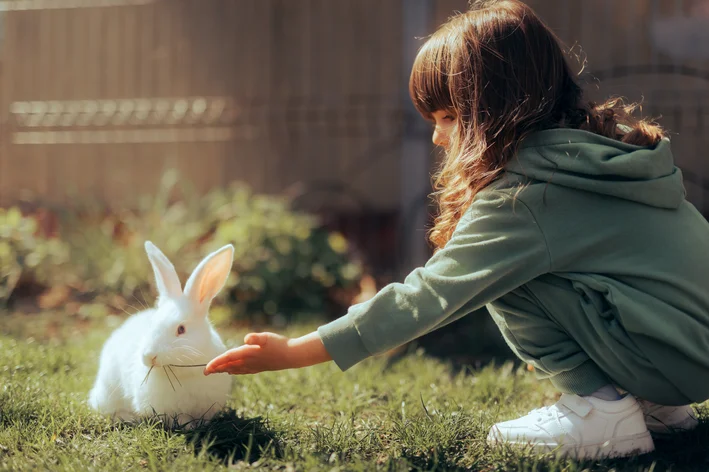 como escolher nomes para coelhos