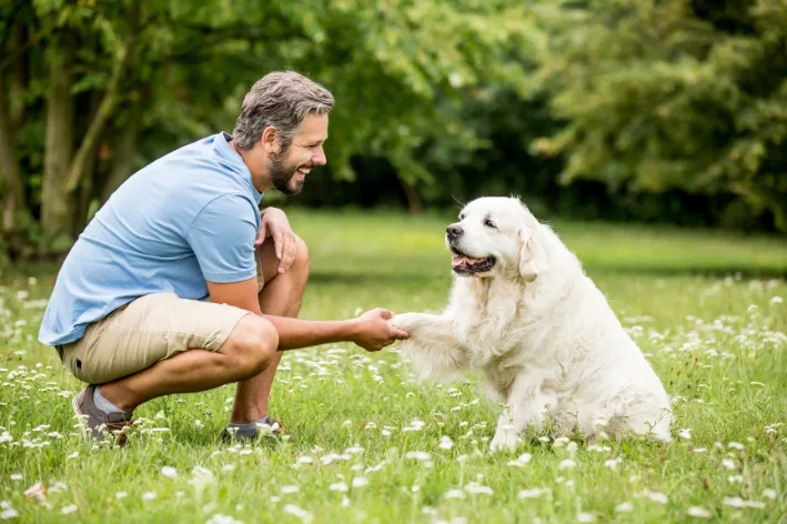 homem agachado recompensa seu cachorro com carinho