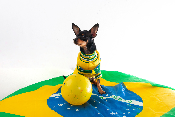 nomes para cachorros inspiradas na Copa do Mundo