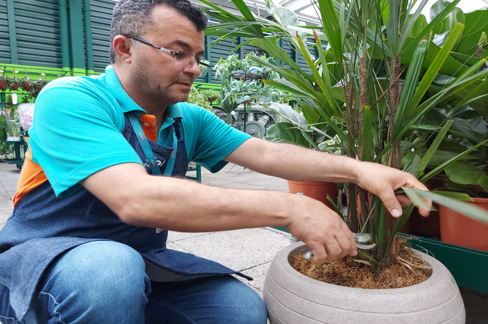 jardineiro cuidando de plantas