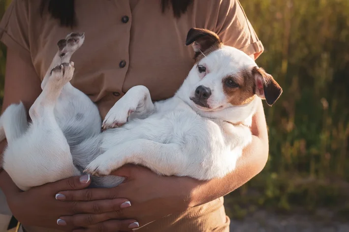 mulher cuidando do cachorro