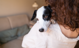 mulher cuidado de cachorro