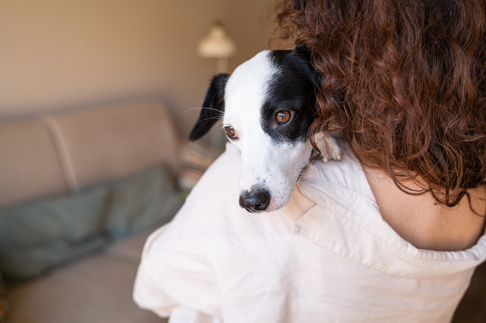 mulher cuidado de cachorro