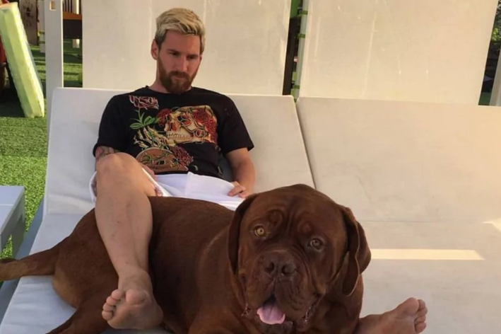 messi e cachorro