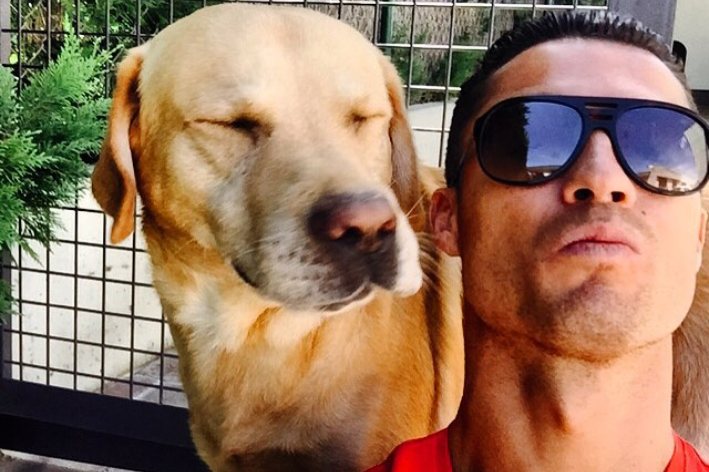 cristiano ronaldo e cachorro