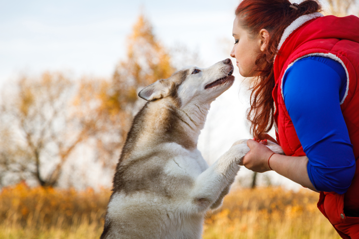 mulher adestrando um cachorro